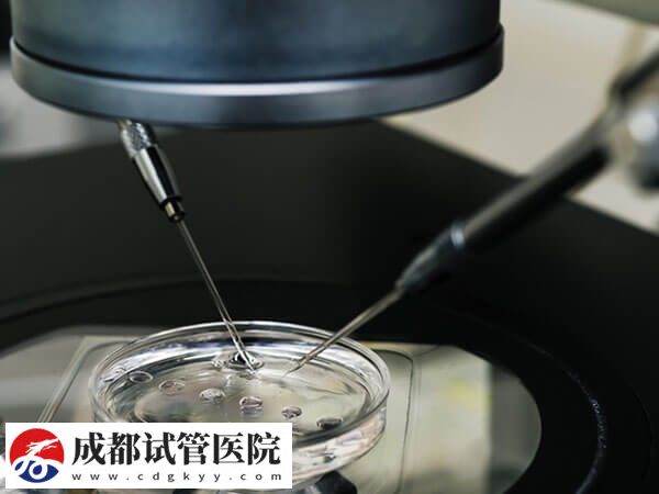 2024混血試管嬰兒費用說明，單身人士怎么做一瞧便知！(圖3)