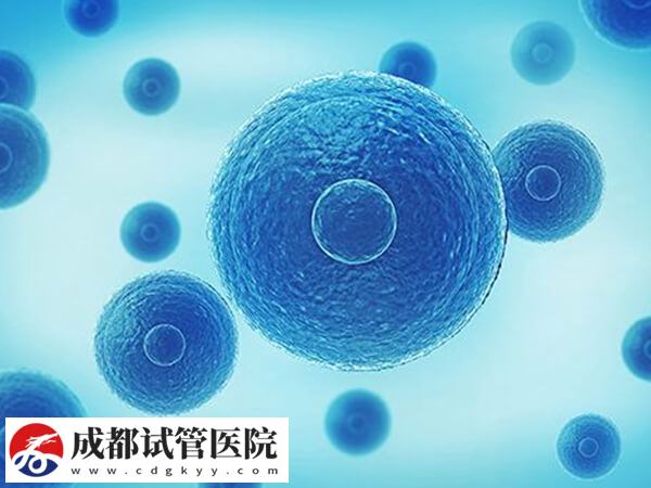 高齡試管嬰兒知識點普及：包括現(xiàn)狀、孕媽會面臨的風險等！(圖2)