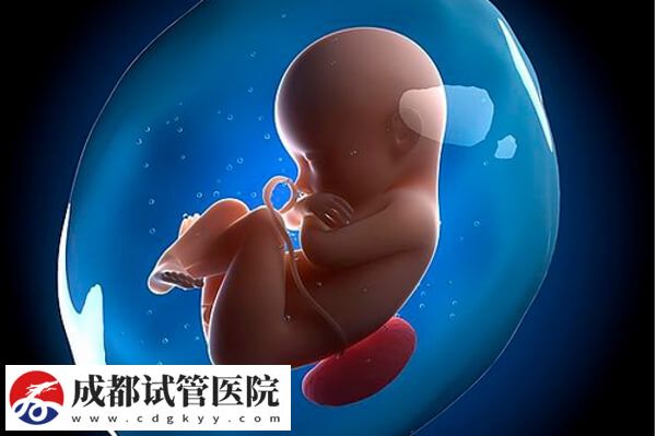 試管嬰兒的真實(shí)含義解說，單周期助孕費(fèi)用無法一概而論！(圖2)