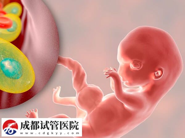 試管嬰兒懷雙胞胎同樣有風(fēng)險(xiǎn)，五大危害已羅列在此！(圖2)