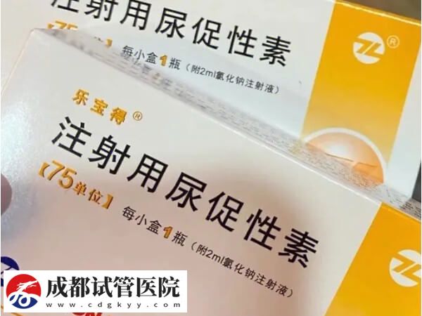 成都試管嬰兒移植兩個(gè)囊胚準(zhǔn)備幾萬(wàn)合適？(圖2)