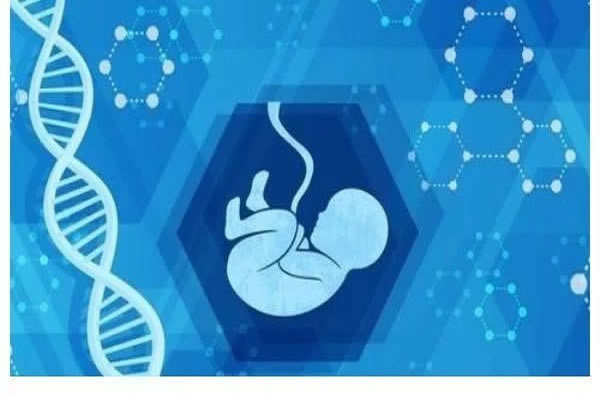 第三代試管胚胎移植失敗有哪些表現？試管嬰兒移植有哪些注意事項(圖2)