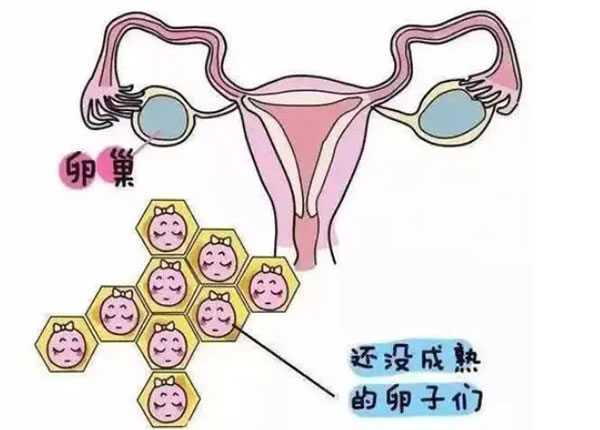 檢查男孩女孩什么最準確？還有哪些判斷胎兒性別的方法？(圖1)